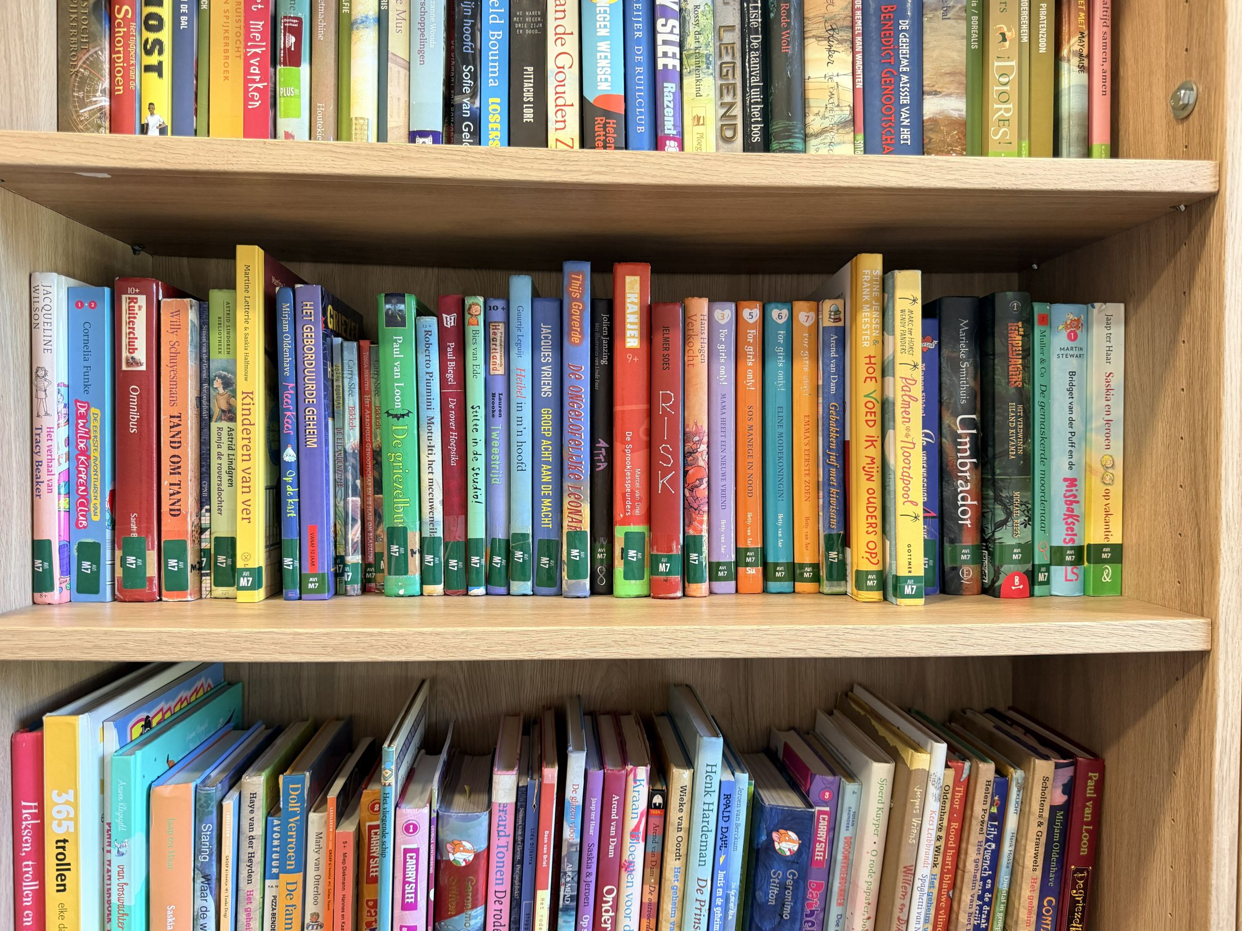 Dutch class books 2